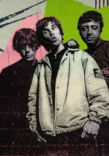 Load image into Gallery viewer, ROSES ADORED
