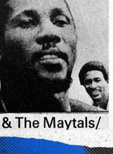 Load image into Gallery viewer, TOOTS &amp; THE MAYTALS
